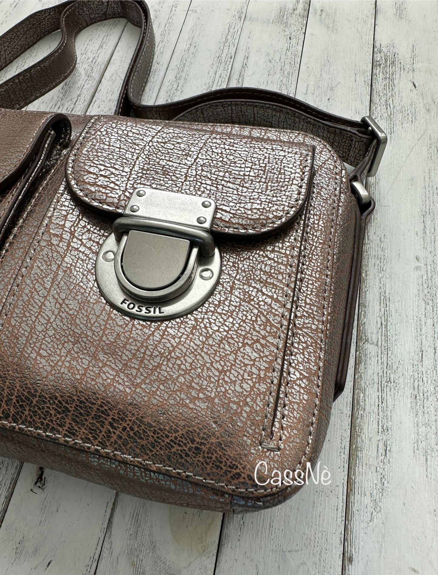 Fossil Riley Metallic Top Zip Camera Crossbody Handbag