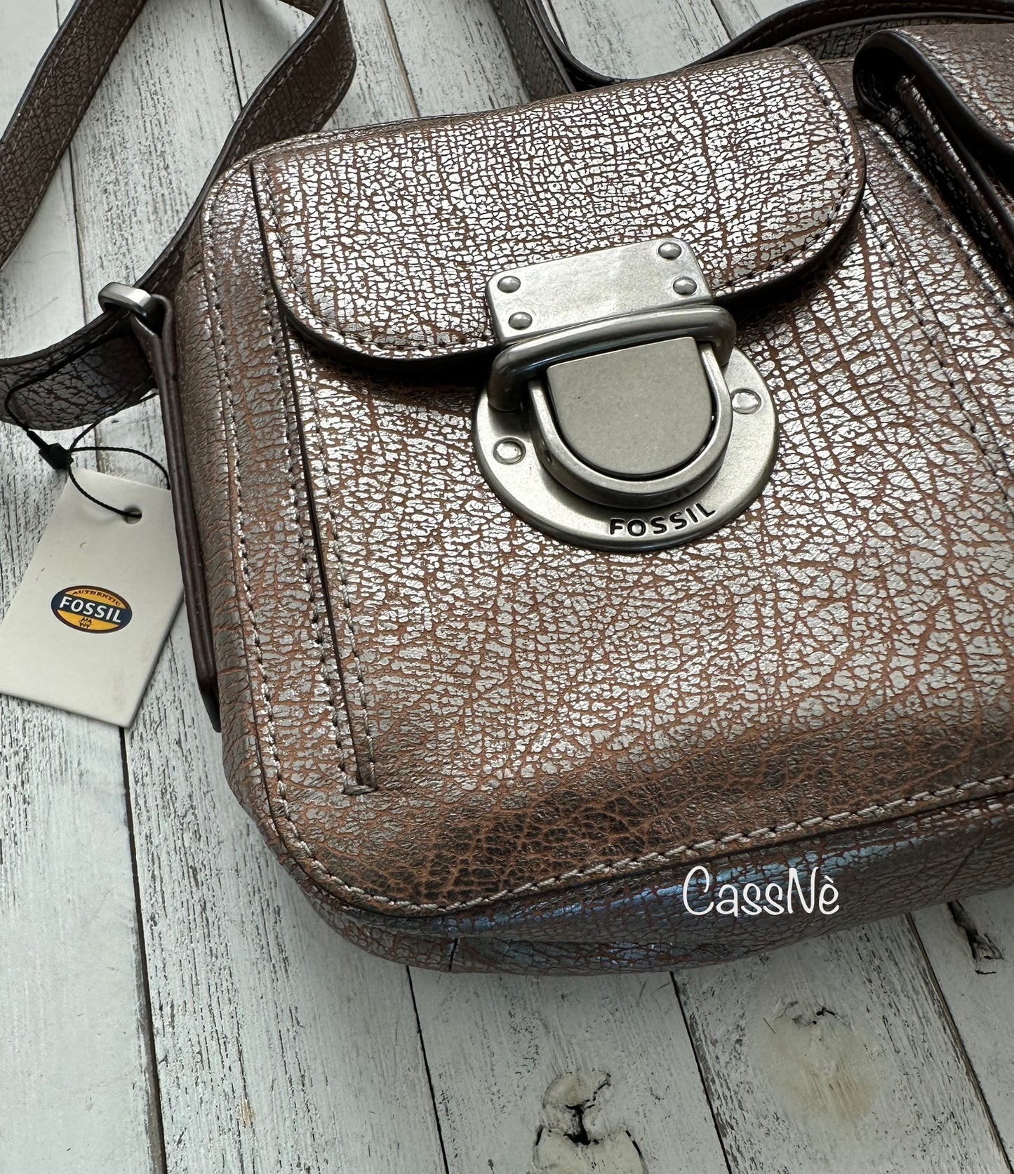 Fossil Riley Metallic Top Zip Camera Crossbody Handbag